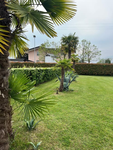 Natural landscape, Garden, Floor plan, Garden view, Seasons