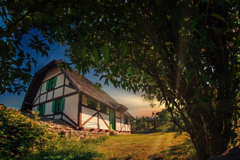 Property building, Garden