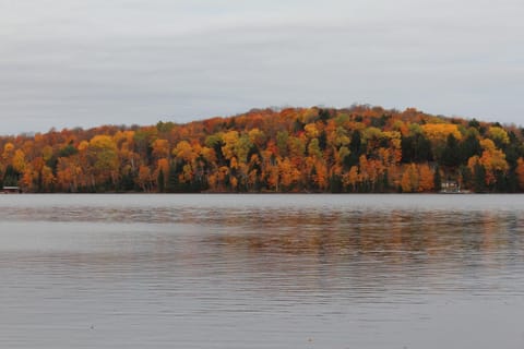 Lake view