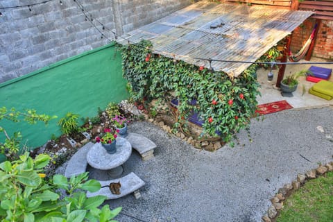 Patio, Bird's eye view, Garden
