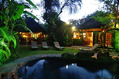 Facade/entrance, Night, Swimming pool, Swimming pool