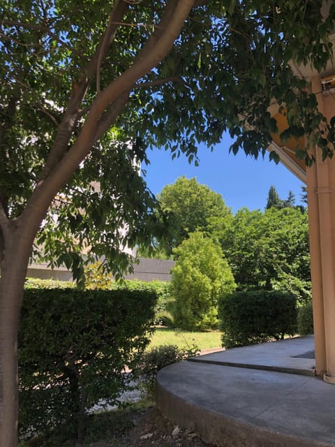 Garden view