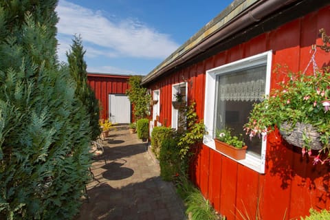 Other, Area and facilities