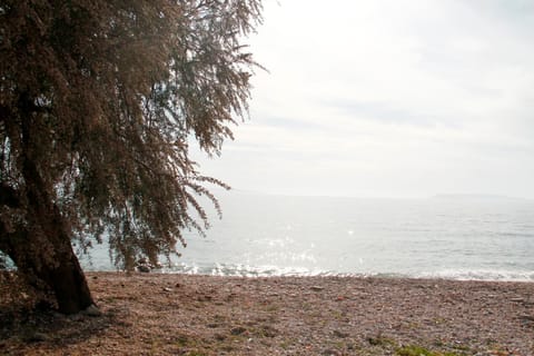 Off site, Day, Beach