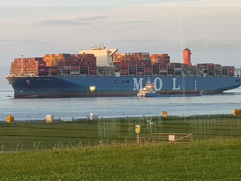 Biolandhof Dorn Highlander vom Elbdeich Apartment in Cuxhaven