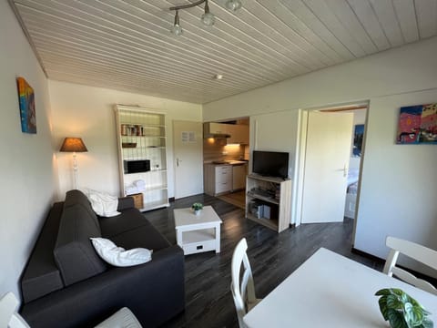 Living room, kitchen