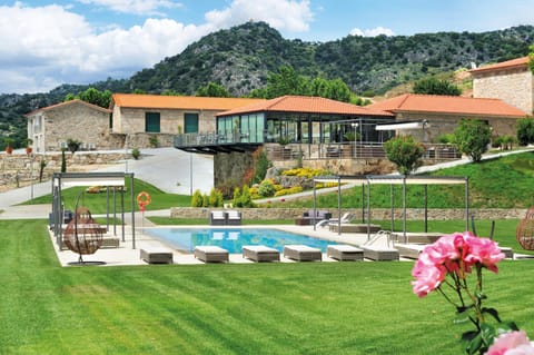 Garden, Garden view, Pool view