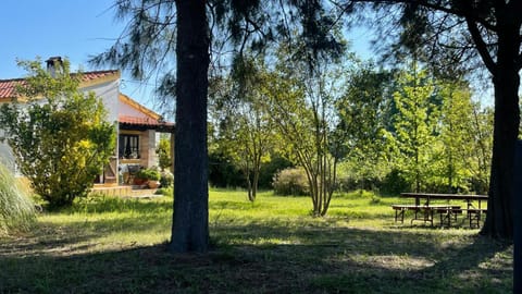Property building, Natural landscape, Garden view