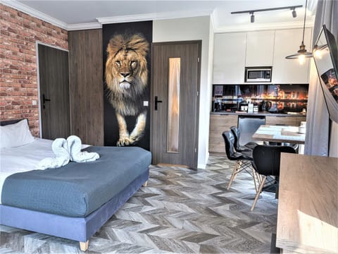 Bed, TV and multimedia, Kitchen or kitchenette, Photo of the whole room, Dining area