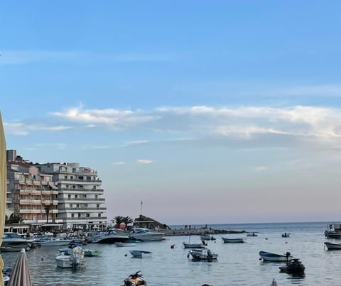 Apartment Studio Premier Apartment in Budva Municipality