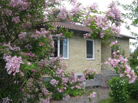 Property building, Facade/entrance, Garden