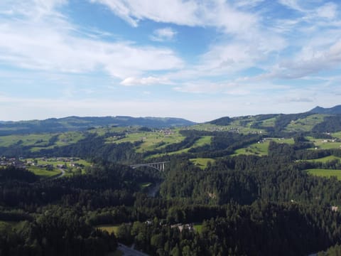 Ferienhaus am Waldrand von Egg Bregenzer Wald Apartment in Vorarlberg, Austria