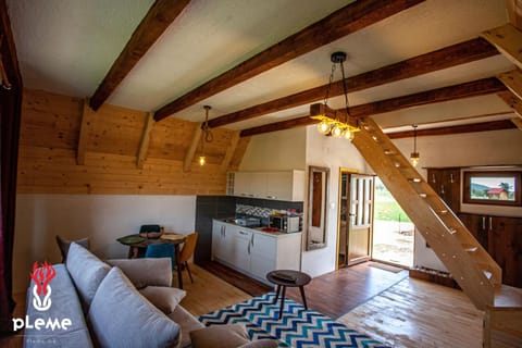 Kitchen or kitchenette, Living room, bunk bed