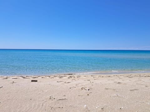 Masseria Macchiarola Farm Stay in Province of Taranto