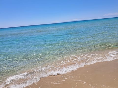 Masseria Macchiarola Farm Stay in Province of Taranto