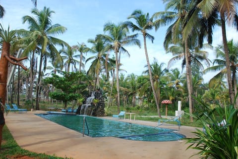 Garden, Swimming pool