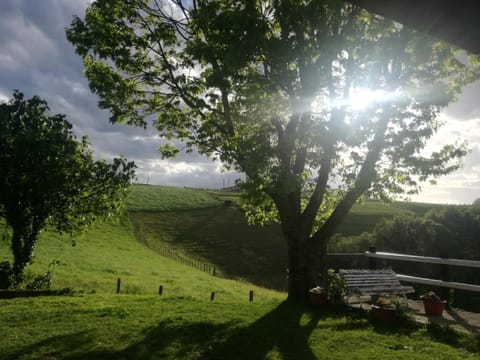 Garden, Garden view