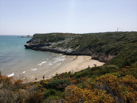 Natural landscape, Beach, Hiking
