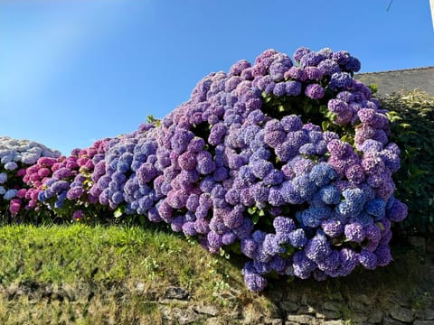 Spring, Natural landscape