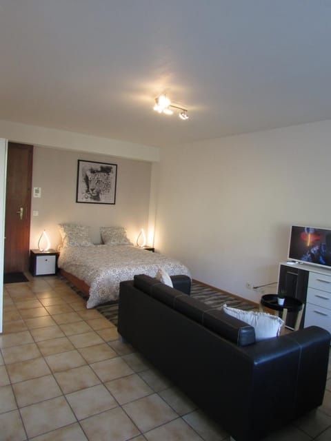 Studio à Sion Apartment in Sion