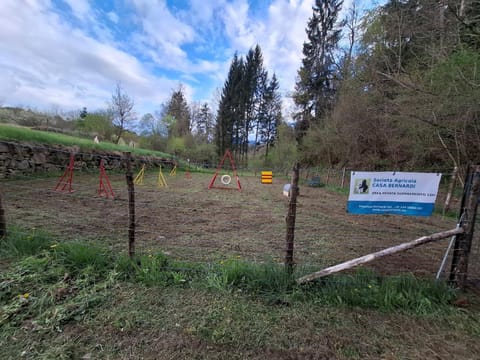 Property building, Children play ground