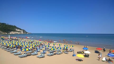 Beach, Beach, Area and facilities
