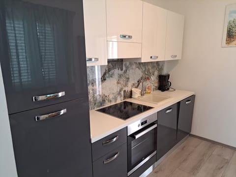 Kitchen or kitchenette, dishwasher, minibar, pet friendly, stove