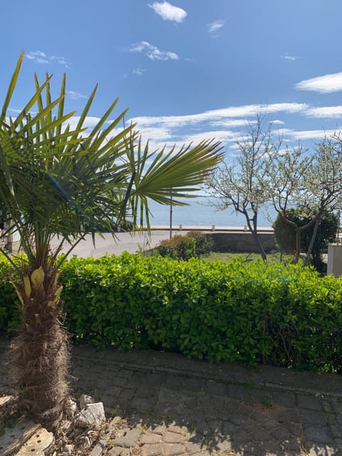 Garden, Sea view, Sea view, Quiet street view, Inner courtyard view