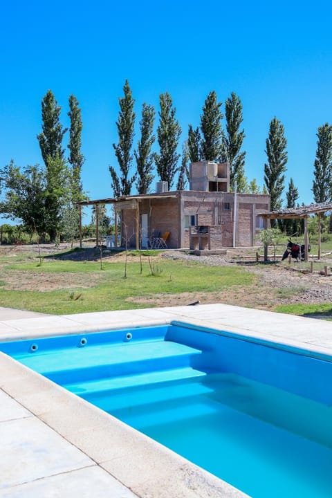 Garden, Swimming pool