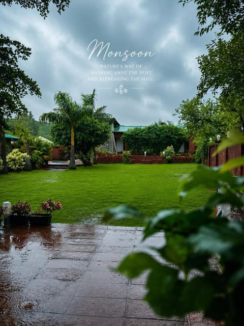 Garden view