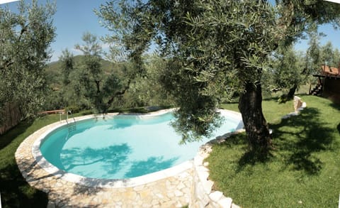 Day, Pool view, Swimming pool, Swimming pool