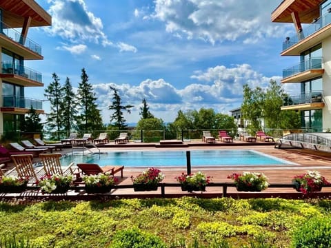 Garden, Swimming pool, sunbed