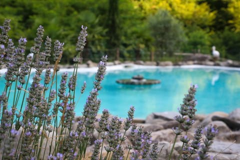 OASI LIGNANA Tuscan Borgo in exclusive use House in Emilia-Romagna