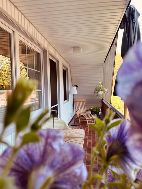 Property building, Garden view