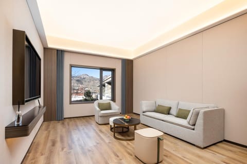 Living room, Mountain view