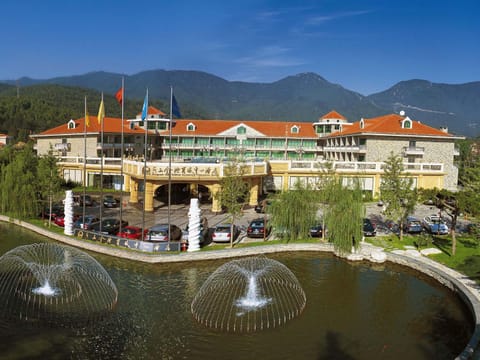 Natural landscape, Bird's eye view, Location