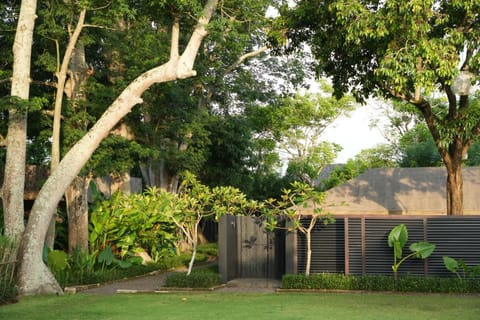 Property building, Natural landscape, Garden