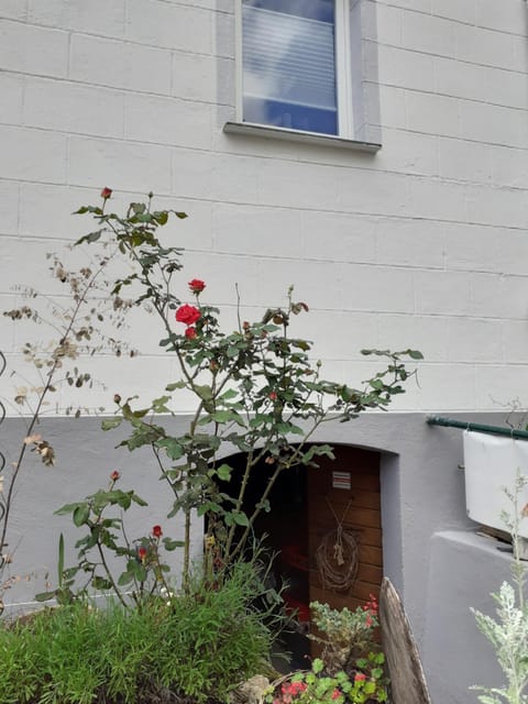 Anna´s Häuschen House in Ediger-Eller