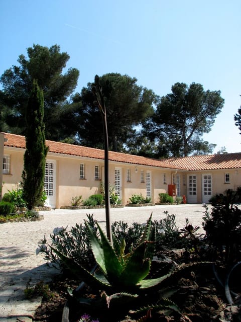 Facade/entrance, Garden