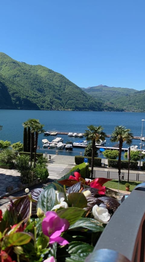 Balcony/Terrace, Lake view