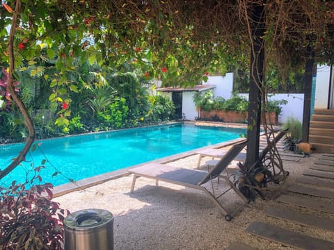 Swimming pool, Swimming pool