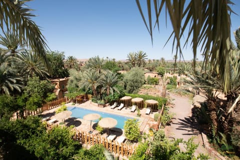 Garden, Garden view, Swimming pool