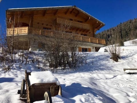 Chalet Nicole Chalet in Les Gets