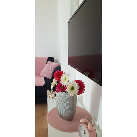 Studio apartman, 2+1 Apartment in Šibenik-Knin County, Croatia