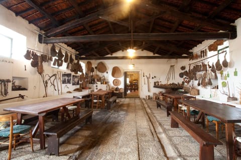 Agriturismo Testone Farm Stay in Sardinia