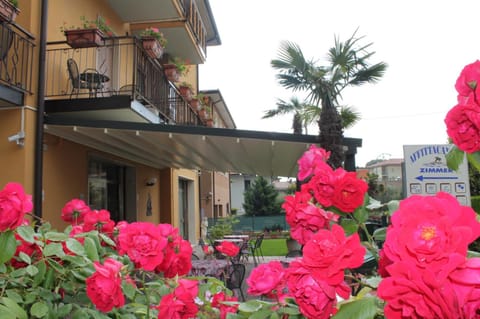 Balcony/Terrace, Street view