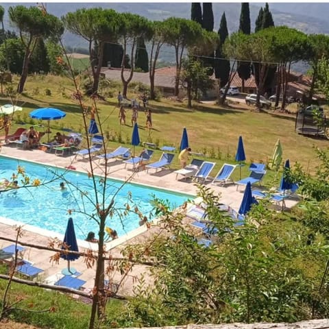 Pool view, Swimming pool, sunbed