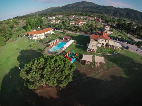 Restaurant/places to eat, Bird's eye view, Garden, Decorative detail, Swimming pool