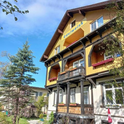 Property building, Spring