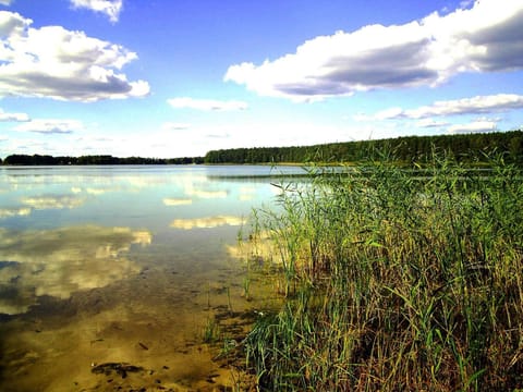 Neighbourhood, Natural landscape, Natural landscape, Lake view